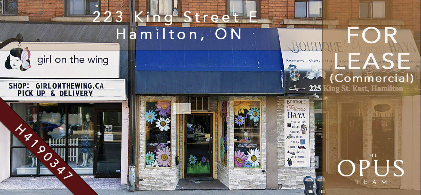 223 King Street East, Hamilton, ON